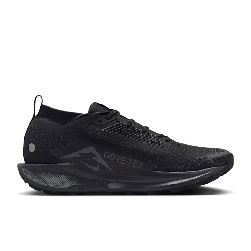 Nike Pegasus Trail 5 GORE-TEX - تصویر 3