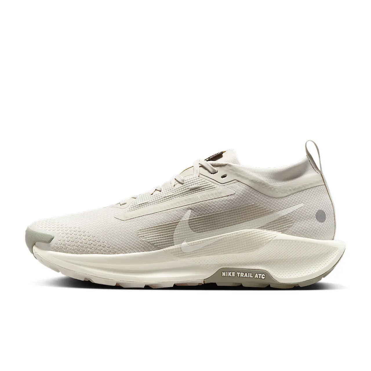 Nike Pegasus Trail 5 GORE-TEX