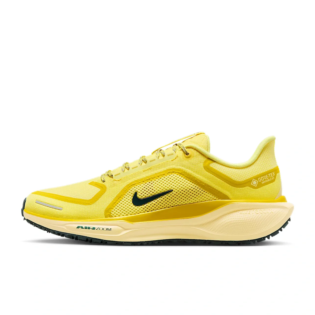Nike Pegasus 41 GORE-TEX
