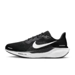 Nike Pegasus 41