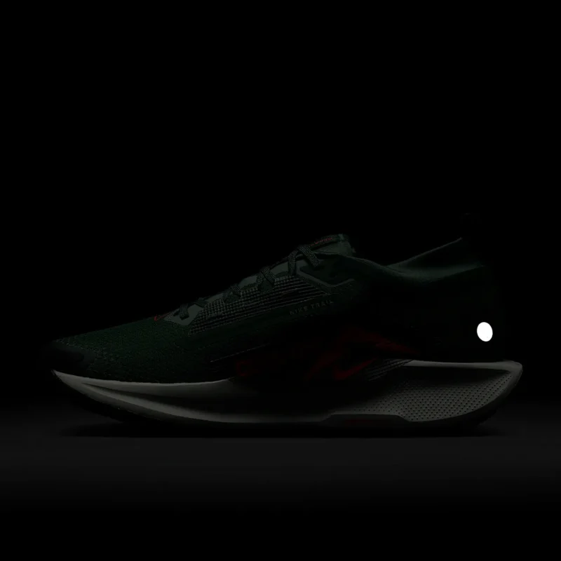 Nike Pegasus Trail 5 GORE-TEX - تصویر 12