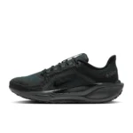Nike Pegasus 41 GORE-TEX
