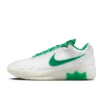 LeBron Witness 9