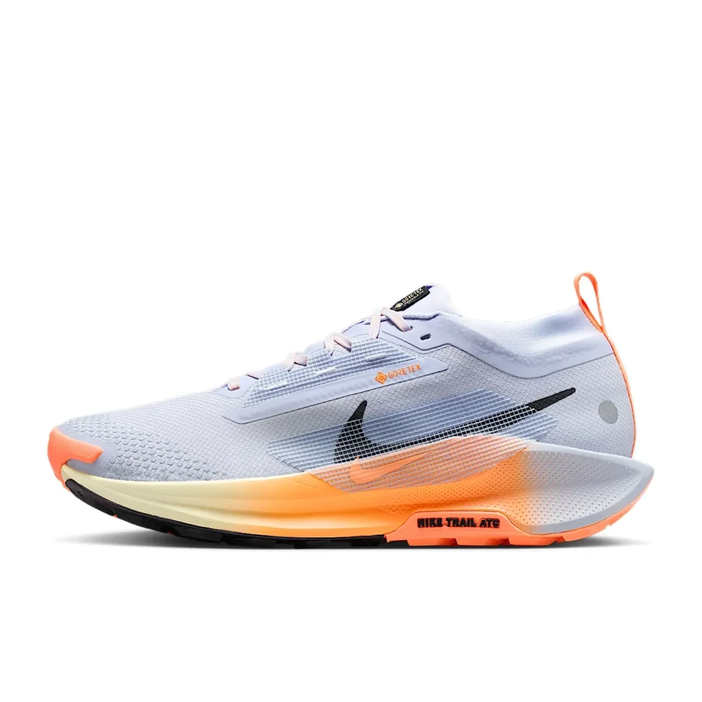 Nike Pegasus Trail 5 GORE-TEX
