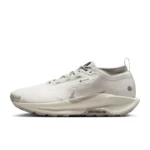 Nike Pegasus Trail 5 GORE-TEX SP