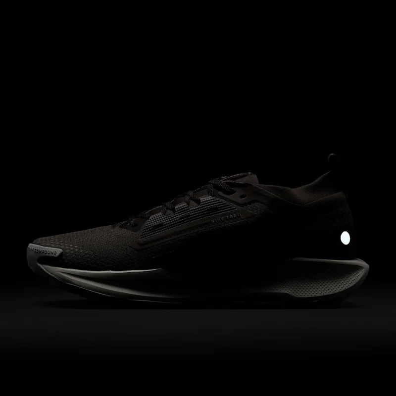 Nike Pegasus Trail 5 GORE-TEX SP - تصویر 11
