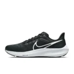 Nike Pegasus 39