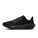 Nike Pegasus 41