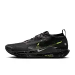 Nike Pegasus Trail 5 GORE-TEX