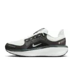 Nike Winflo 11 GORE-TEX